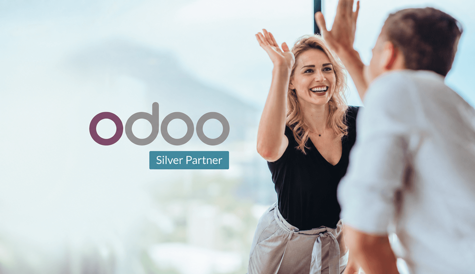 How Does the Odoo Partner Tier System Actually Work?